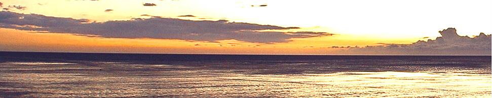 Banner de la sección Nosotros de Carabela Search & Management